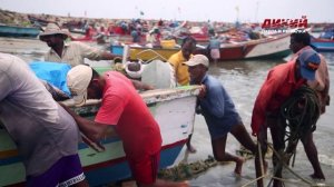 Дикая Индия. Часть 2.