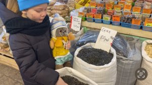 БАСИК учится зимой заботиться о птицах / Семейка Басиков и Мисс Фаина