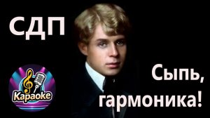 Сыпь, гармоника! - СДП КАРАОКЕ