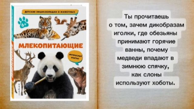 Виртуальная выставка Книги которые знают все смотреть онлайн