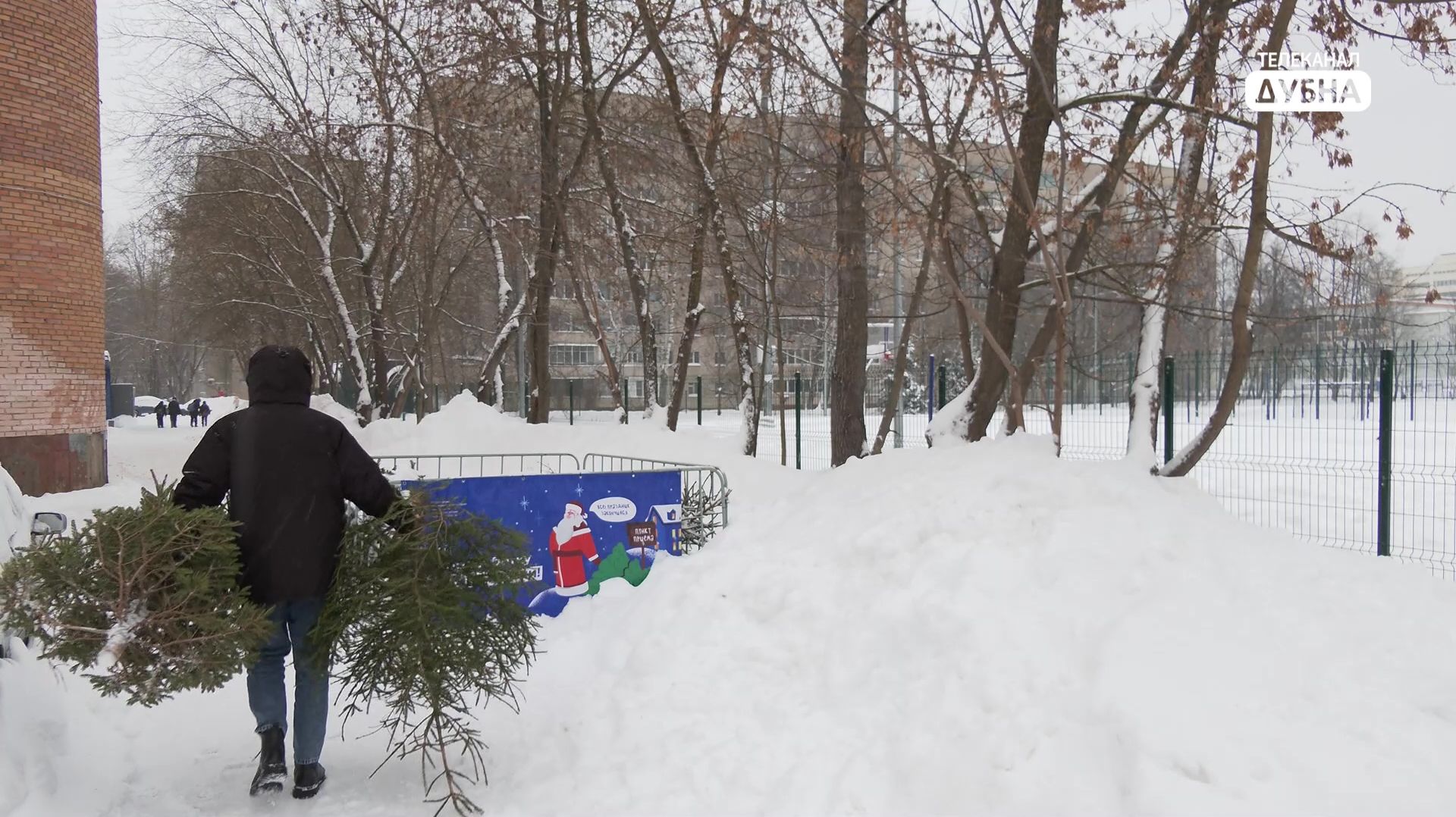 Вторая жизнь для елки смотреть онлайн