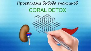 Программа Корал Детокс коротко, 4 минуты
