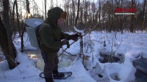 Звероловы. Охота на норку зимой.