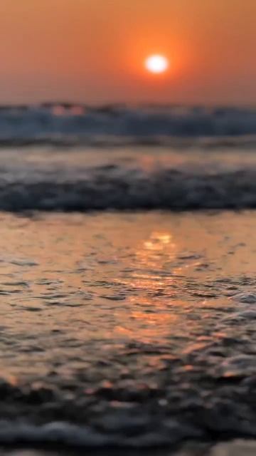 Закатная прогулка в Гоа