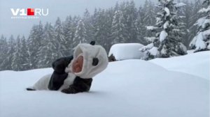 История очень интересная, трогательная из жизни