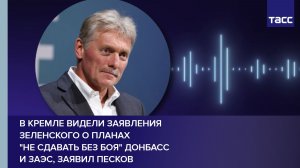 В Кремле видели заявления Зеленского о планах "не сдавать без боя" Донбасс и ЗАЭС, заявил Песков