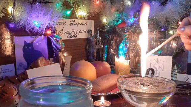 ОПОИ, ОКОРМЫ-ЧИСТКА. №2 смотреть онлайн