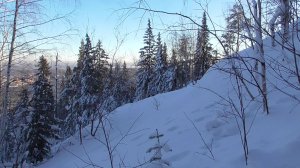 Лесное безмолвие, часть II или Узбекский плов в лесной глуши ..