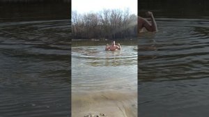 15 марта 2025 последний лёд на реке