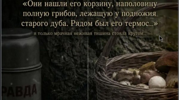 Загадочная история про грибника Антона, произошедшая в далеком 1960 году