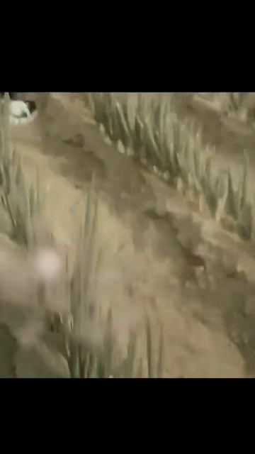 Краткий пересказ фильма 2026 смотреть онлайн