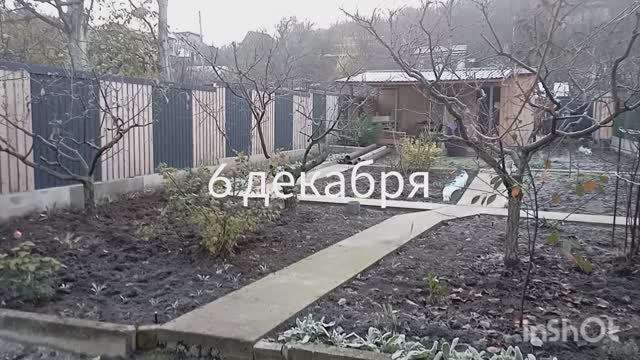 МЫ НА ДАЧЕ. СОЖГЛИ МУСОР. НАВЕЛИ ПОРЯДОК ПОД НАВЕСОМ.Суббота 06.12.25. смотреть онлайн