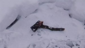 Исследователи обнаружили жизнь на марсе 2026.01.27