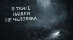 В тайге нашли не человека. Страшные. Мистические. Творческие истории