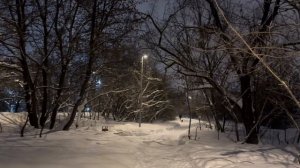 Зима в Москве. Настоящая - снежная и морозная. Строгинская пойма.