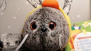 эксперимент 🤔💓 ???!