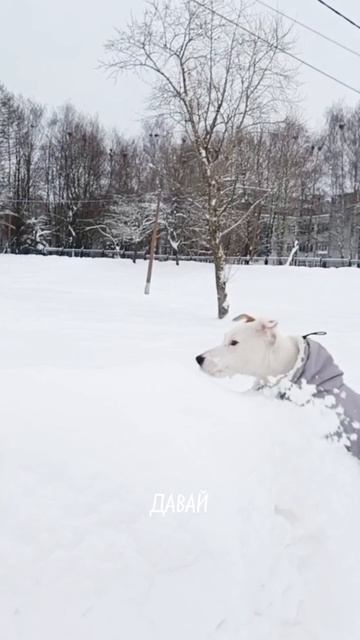Задача на смекалку.