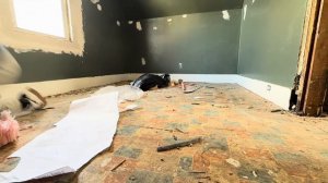 Купили дом с аукциона 😱 _ Закупка материала и ремонт(KUZ_CONSTRUCTION)