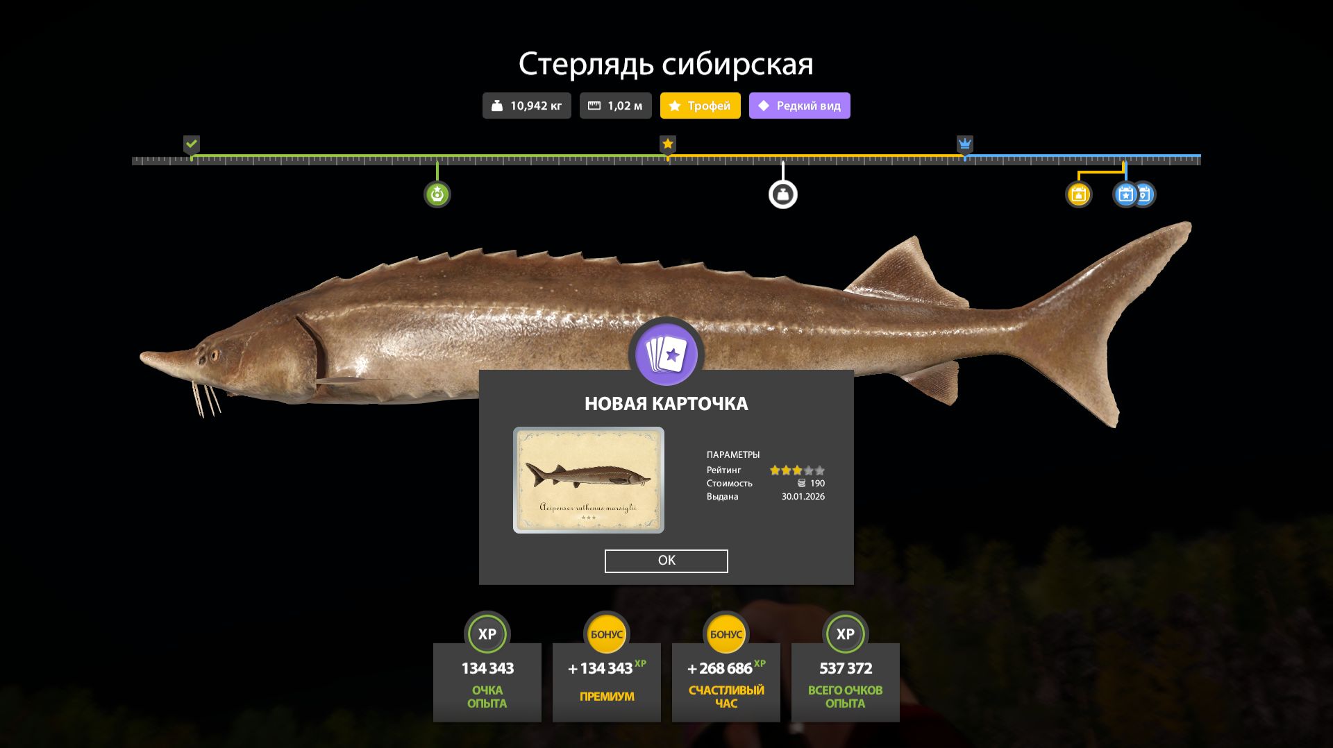 2026-01-30 04-20-40  русская рыбалка 4 Тунгуска