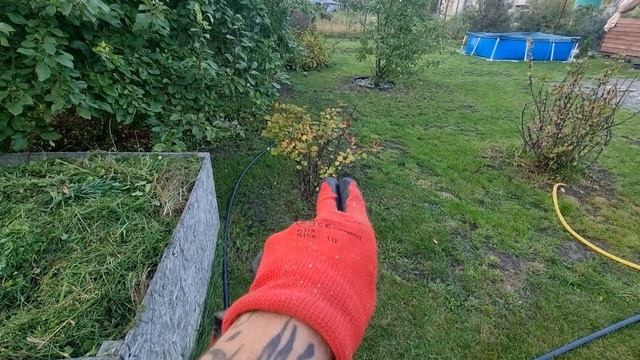 20250906_195030 смотреть онлайн