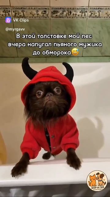 Лечит от алкоголизма смотреть онлайн