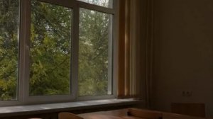 школа эдит «вайб» «успокаивает»