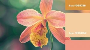 Мода и Венера. Ретро Венера в 2026 г