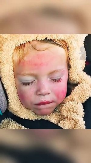 Краткий пересказ фильма