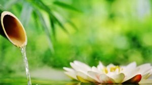 5144-из Гарыныч ВЕТЕР-Собственность Господа !-Гармонийа мойа, мойа...