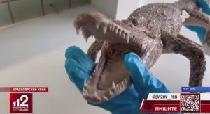 Телеканал «РЕН», программа «Экстренный вызов 112», 28.01.2026