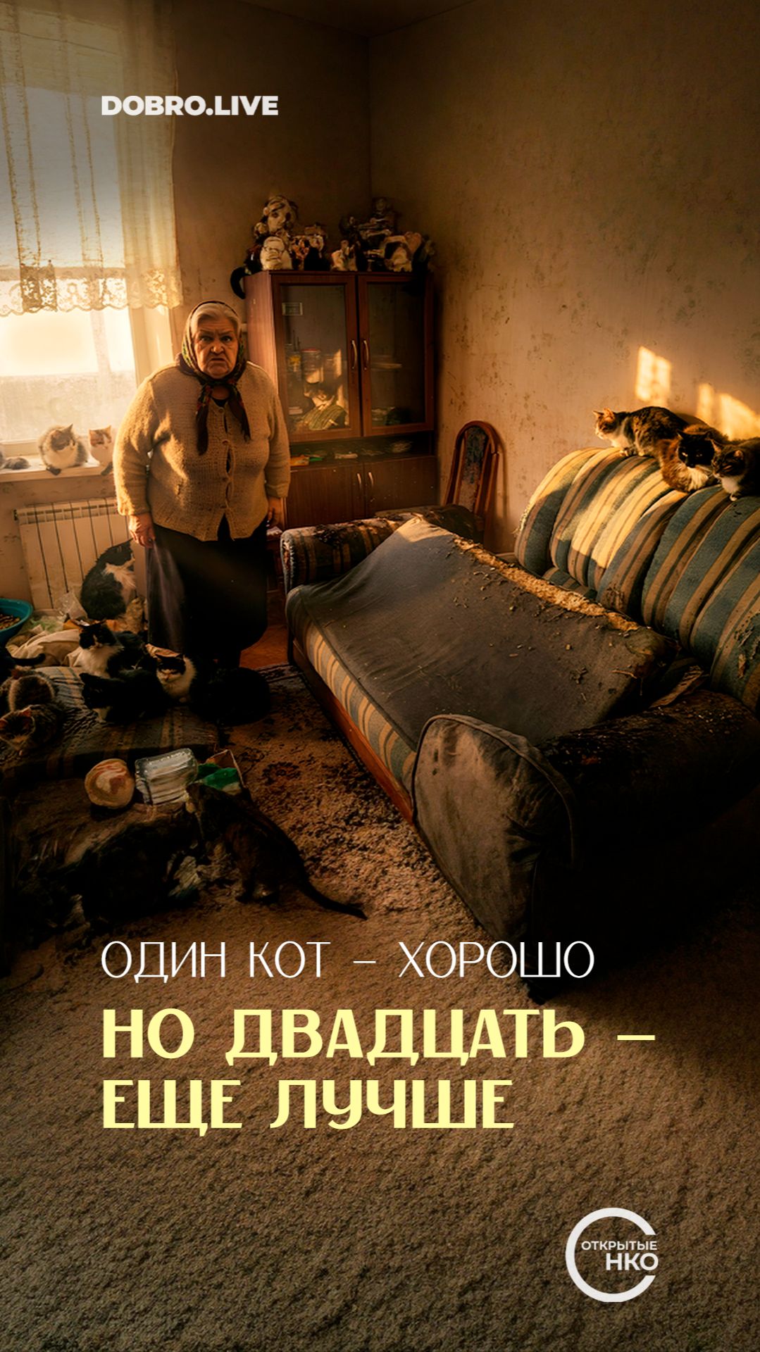 Карта «нехороших квартир» смотреть онлайн