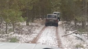 Загонная охота на косулю 11.2024