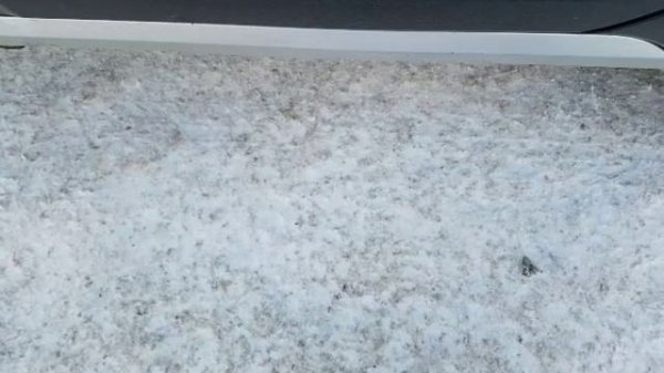 Диагностика Volkswagen Golf Alltrack 2019_24/01/2026