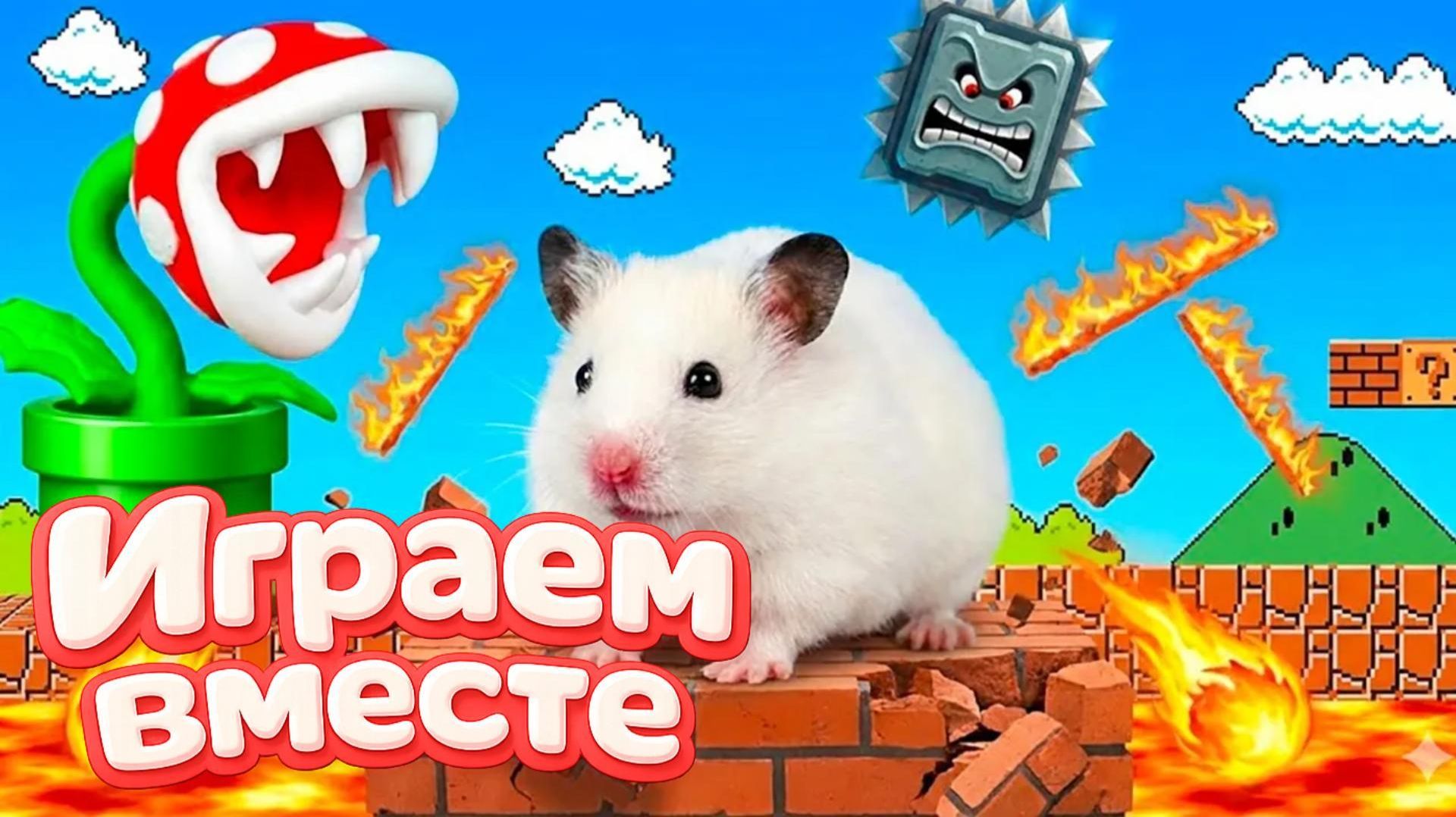 НОВЫЙ ОПАСНЫЙ ЛАБИРИНТ ДЛЯ ХРАБРОГО И УМНОГО ХОМЯКА 🐹 ВИДЕО ДЛЯ ДЕТЕЙ ! ЧАСТЬ 10 смотреть онлайн