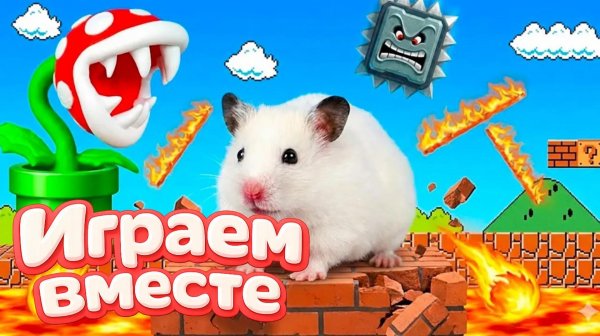 НОВЫЙ ОПАСНЫЙ ЛАБИРИНТ ДЛЯ ХРАБРОГО И УМНОГО ХОМЯКА 🐹 ВИДЕО ДЛЯ ДЕТЕЙ ! ЧАСТЬ 10