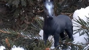 мини- фотосет шляйх