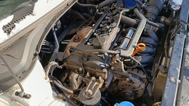 hyundai solaris 2017 год смотреть онлайн