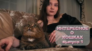Интересное о кошках, выпуск 1. Рассказывают КОТ БАРСИК И ТАНЯ.