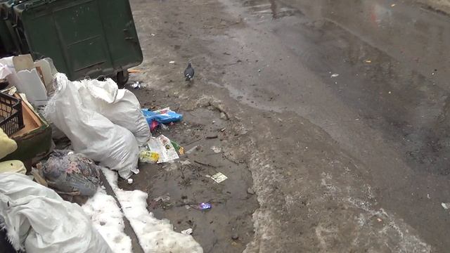 30 января 2026 года - осмотр состояния незаконной мусорной площадки