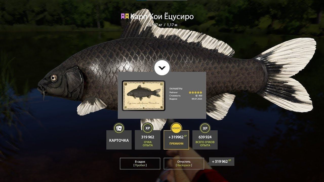 НОВЫЕ ТОЧКИ НА МЕДНОМ В НОРМ ПОГОДУ И ДРУГИЕ ВОДОЕМЫ В РУССКОЙ РЫБАЛКЕ 4 СТРИМ смотреть онлайн