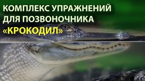 Здоровый позвоночник. Комплекс "Крокодил".  + Одно дополнительное упражнение.