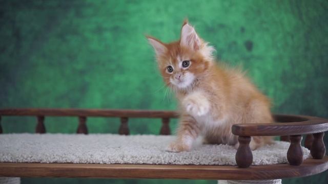 Yague 2 месяца смотреть онлайн