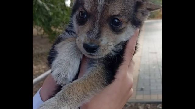 природа смотреть онлайн