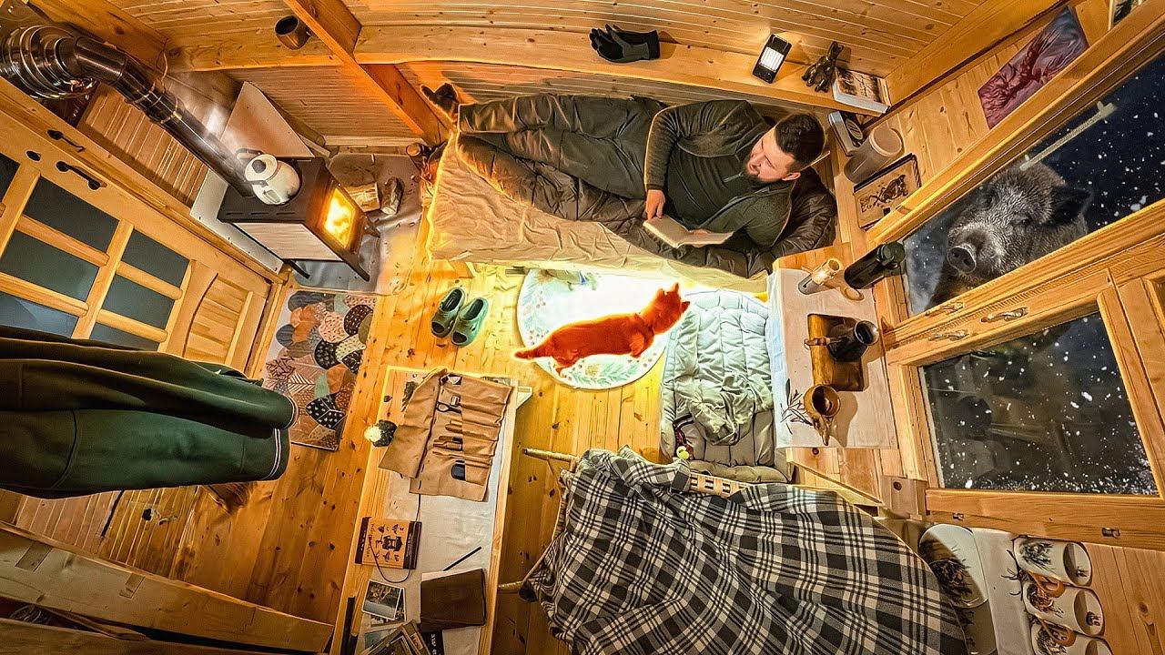 ЖИВУ в ИЗБЕ с РЫЖИМ ЗВЕРЕМ - ВЕРНУЛСЯ в ДОМ-ШАЛАШ в ЛЕСУ - Жизнь в тайге - Лесные 2026 смотреть онлайн