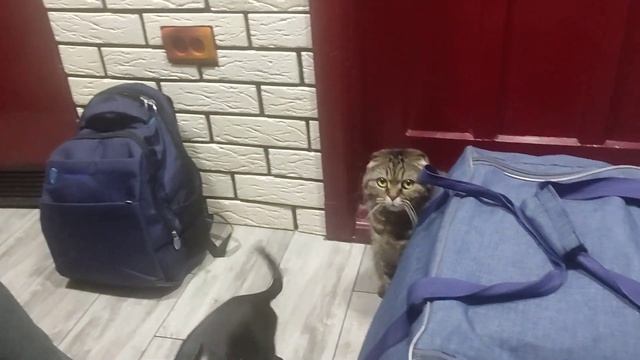 Когда тебе скучно