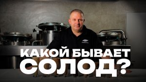 Базовые и Спецсолода: Какой бывает солод и в чем отличия?