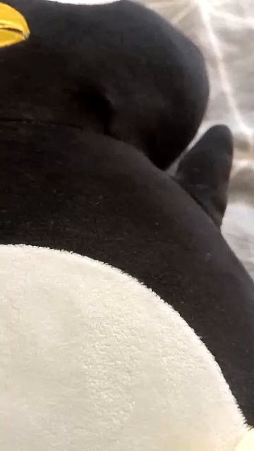 30-01-2026 смотреть онлайн