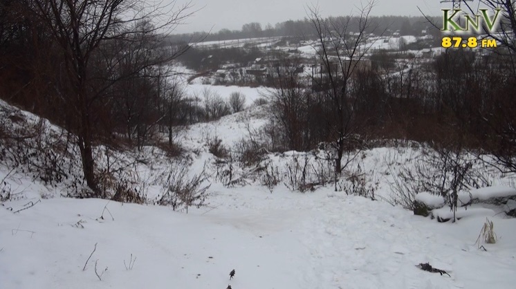 Шолохово ротавирус