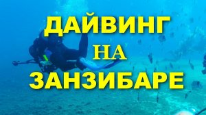 ДАЙВИНГ на Занзибаре! Индийский ОКЕАН! Остров Мнемба!