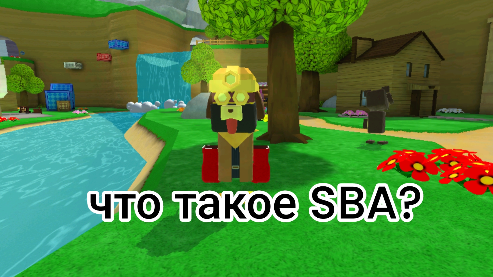 что такое SBA?